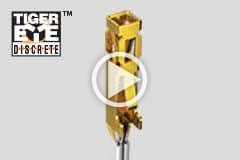 Tiger Eye™ Discrete video